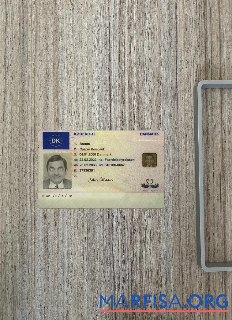 Downloadable Denmark driving license 2023 present photolook example